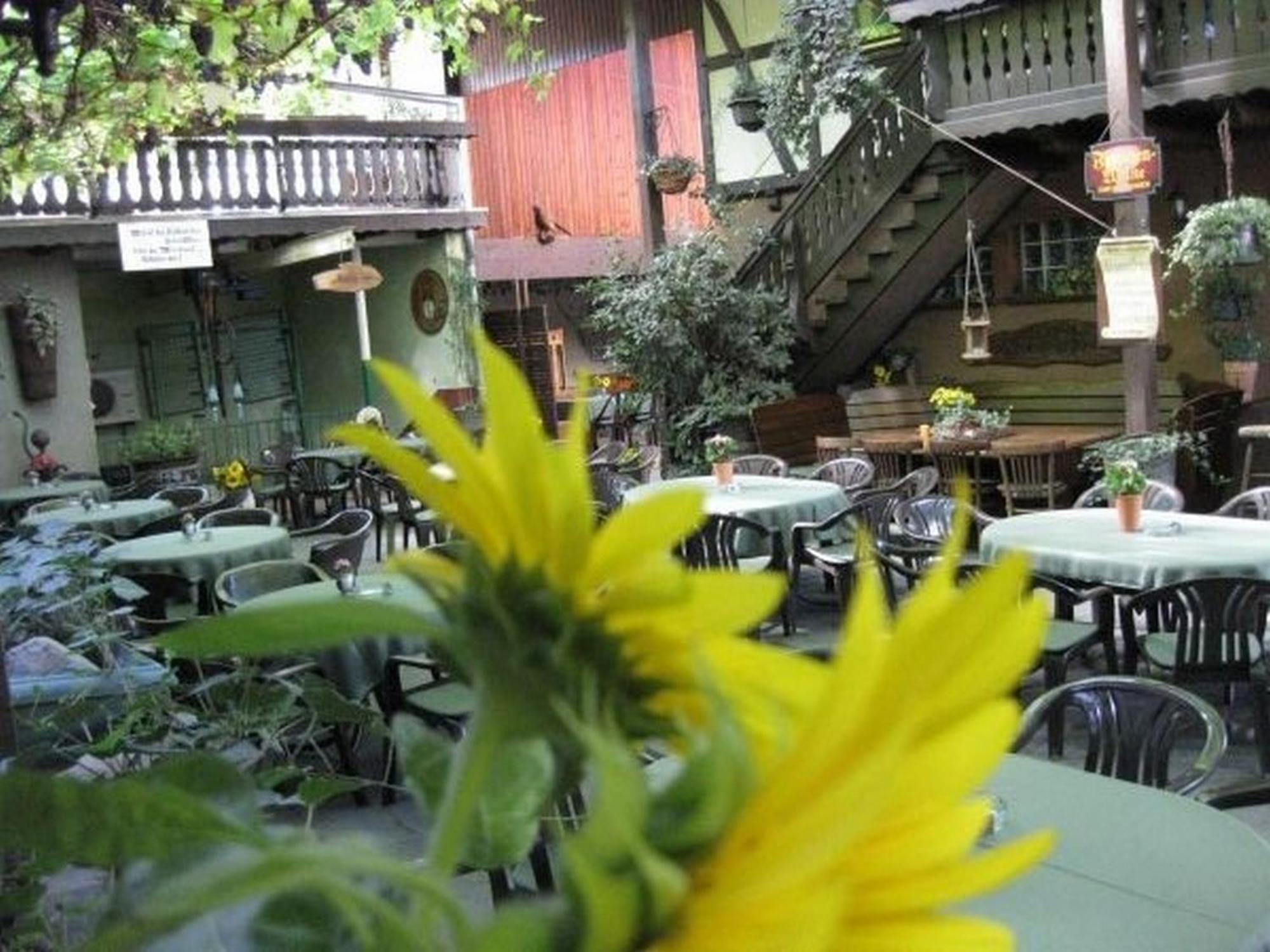 Hotel Weingut Franz Schäfer Bad Neuenahr-Ahrweiler Exterior foto